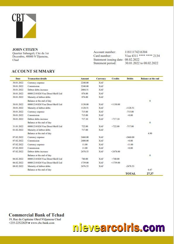 Professional Chad Commercial Bank Of Tchad Bank Statement Template In Word And PDF Format