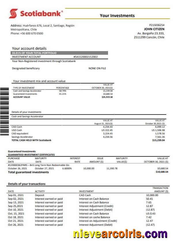 Chile Scotiabank Statements Sample