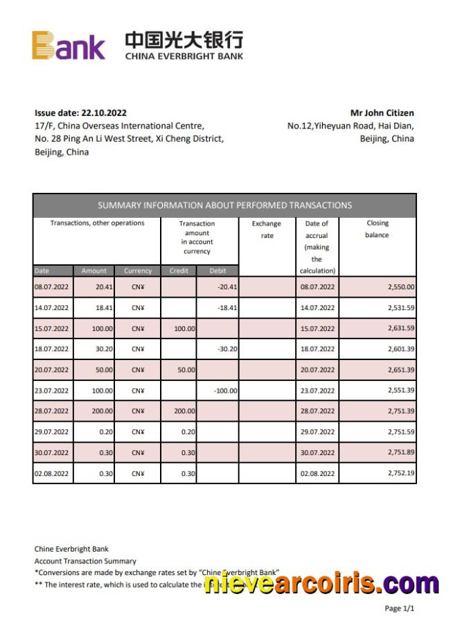 China Everbright Bank Statement Xls Preview