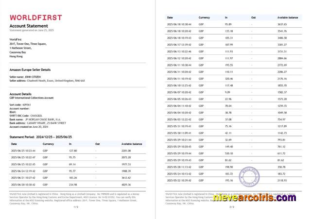 Editable China Worldfirst Account Statement Word And PDF Template, 2 Pages
