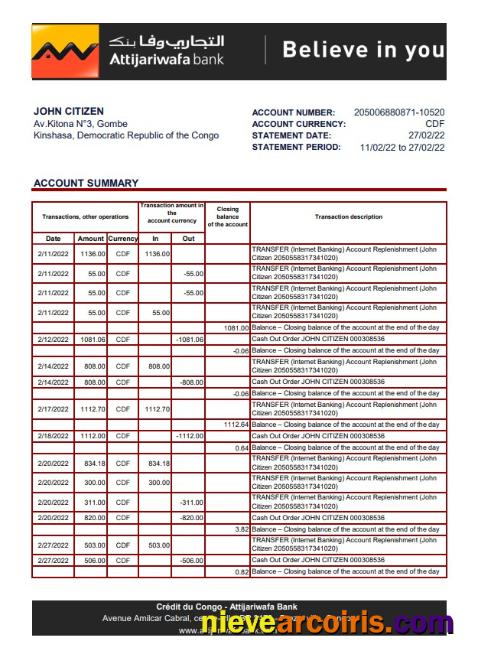 Congo Credit Du Congo Bank Statement Xls Preview