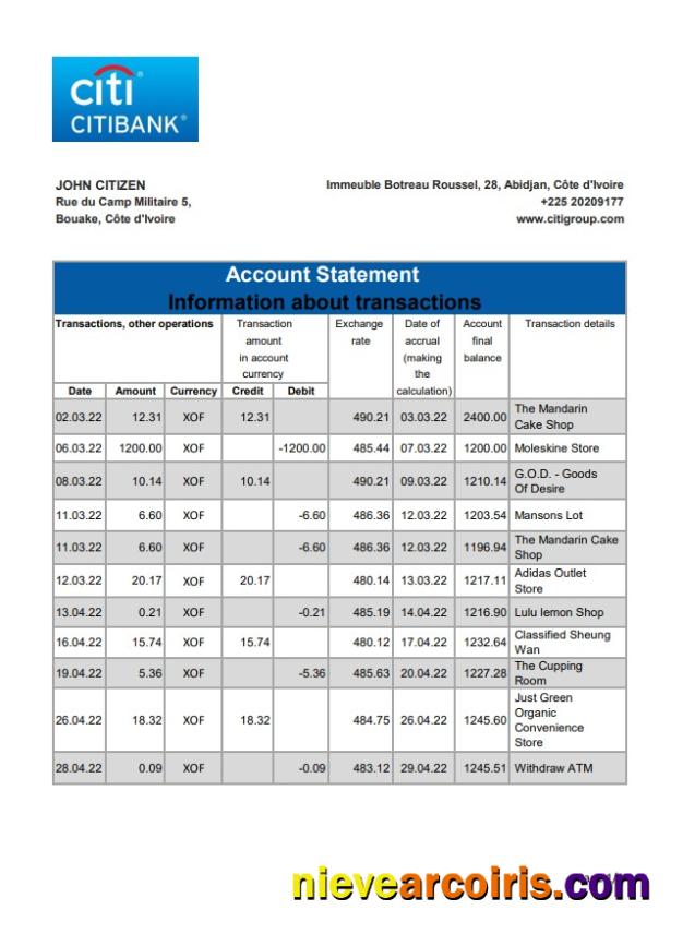 Cote D'Ivoire Citibank Bank Statement Xls Preview