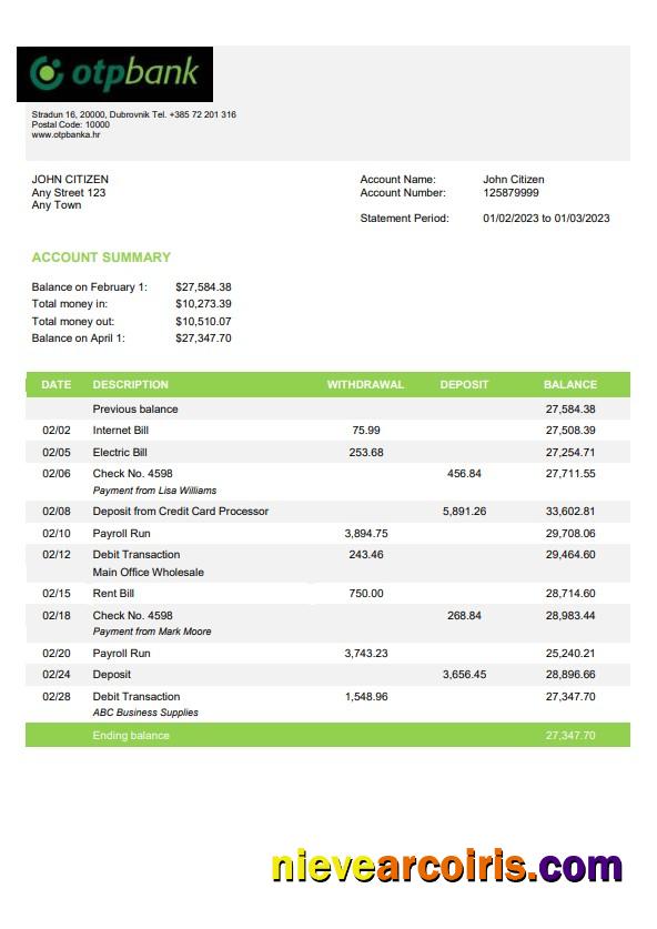 Premium Croatia OTP Bank Statement Template, Word And PDF Format, Version 2