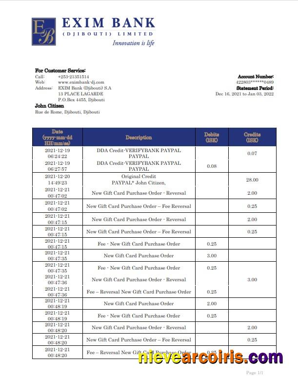 Professional Djibouti Exim Bank Statement Template In Word And PDF Format