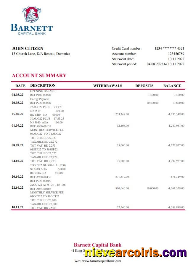 Dominica Barnett Capital Bank Statement Sample
