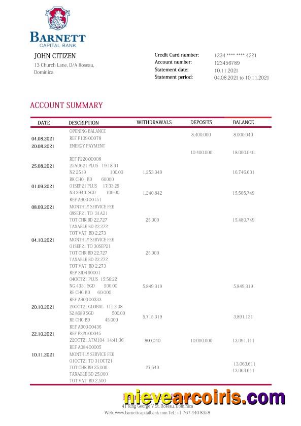 Realistic Dominica Barnett Capital Bank Statement Template In Word And PDF Format