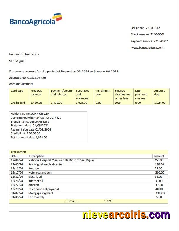 Dominican Republic Banco Agricola Bank Statement 3 – 6 Months Word And PDF Example Template