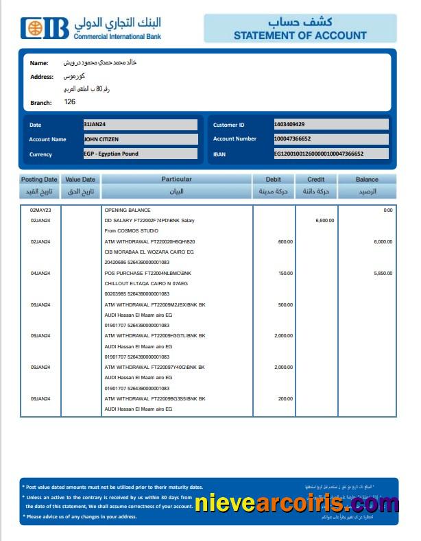 Professional EGYPT CIB Bank Statement Template, Word And PDF Format