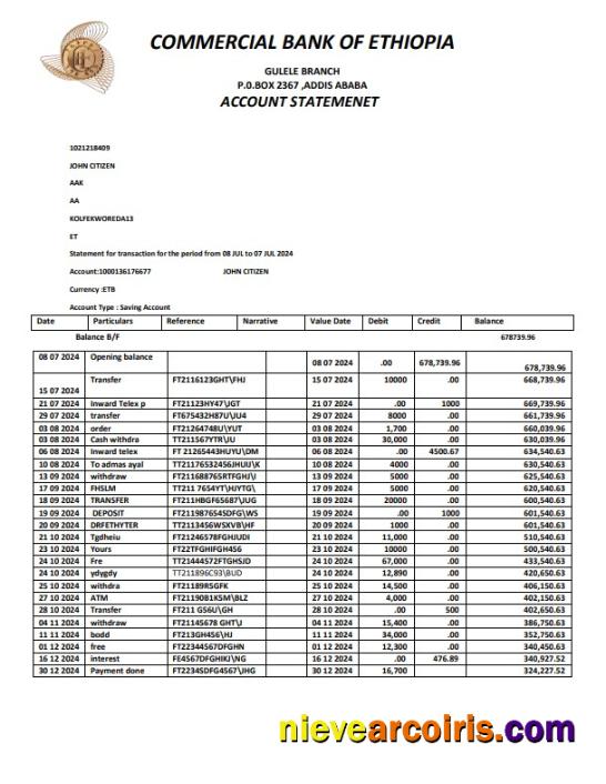 Premium ETHIOPIA COMMERCIAL BANK OF ETHIOPIA Bank Statement Template, Word And PDF Format, Version 2