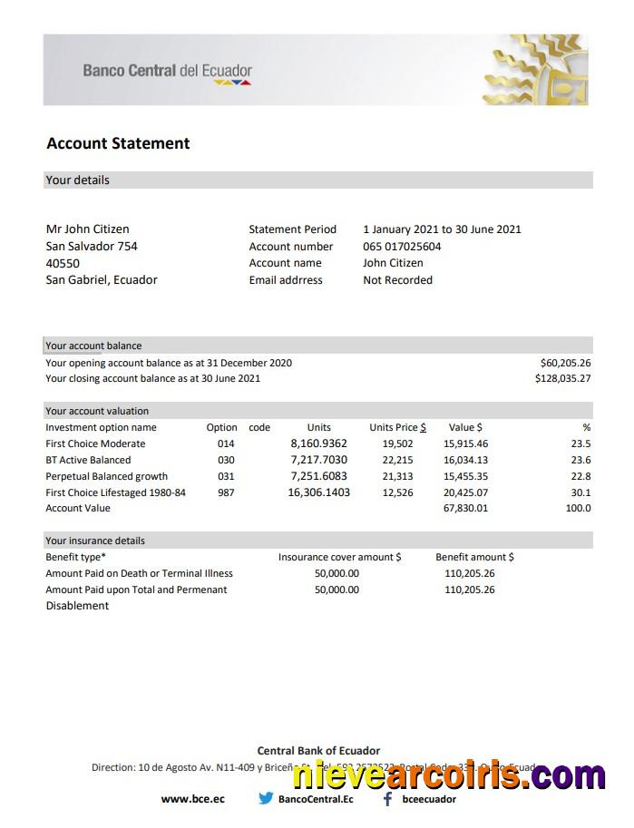 Realistic Ecuador Central Bank Of Ecuador Bank Statement Easy To Fill Template In Excel And PDF Format