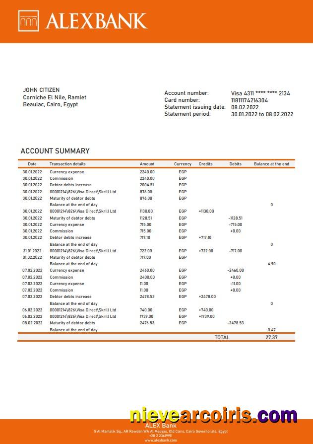 Egypt Alex Bank Of Egypt Statement Template