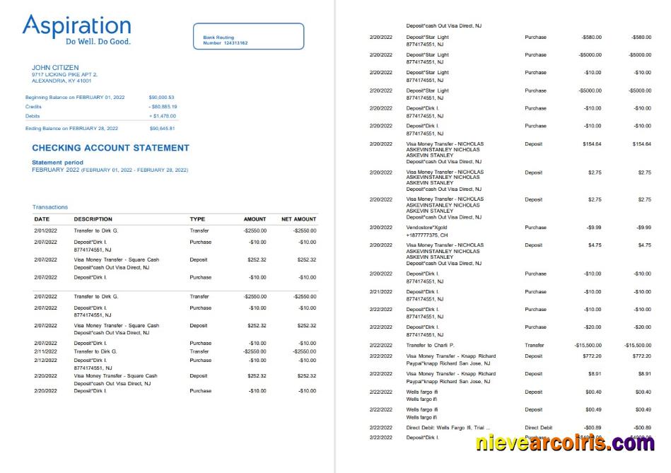 Egypt Aspiration Bank Statement Photolook