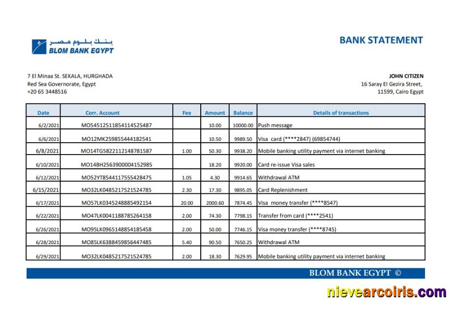 Realistic Egypt Blom Bank Of Egypt Bank Statement Easy To Fill Template In Excel And PDF Format