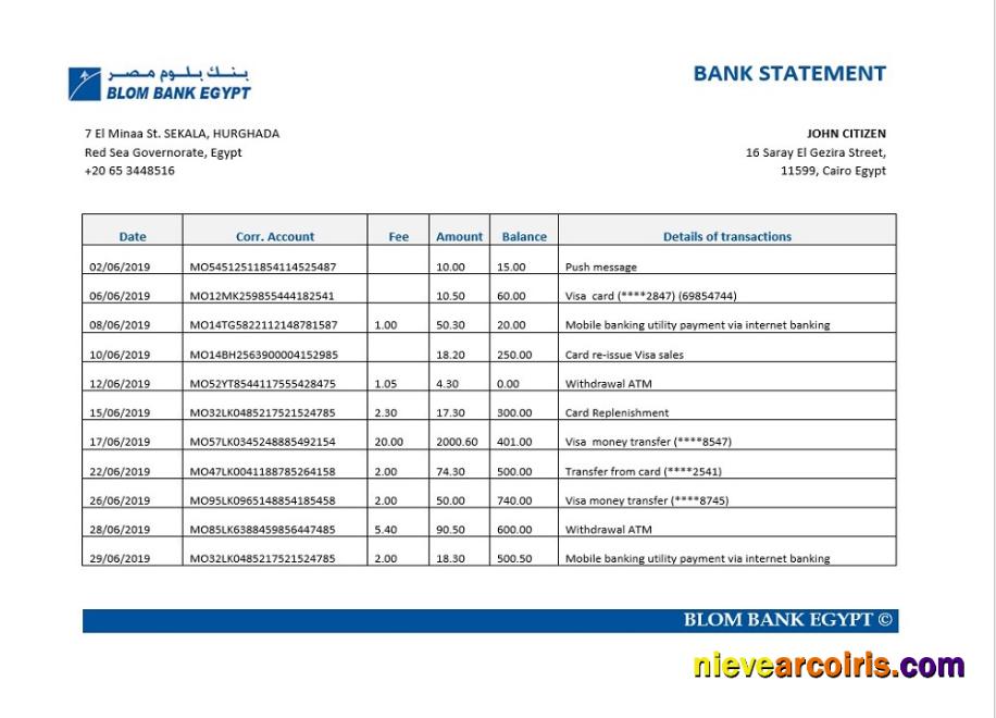 Egypt Blom Bank Statement Preview