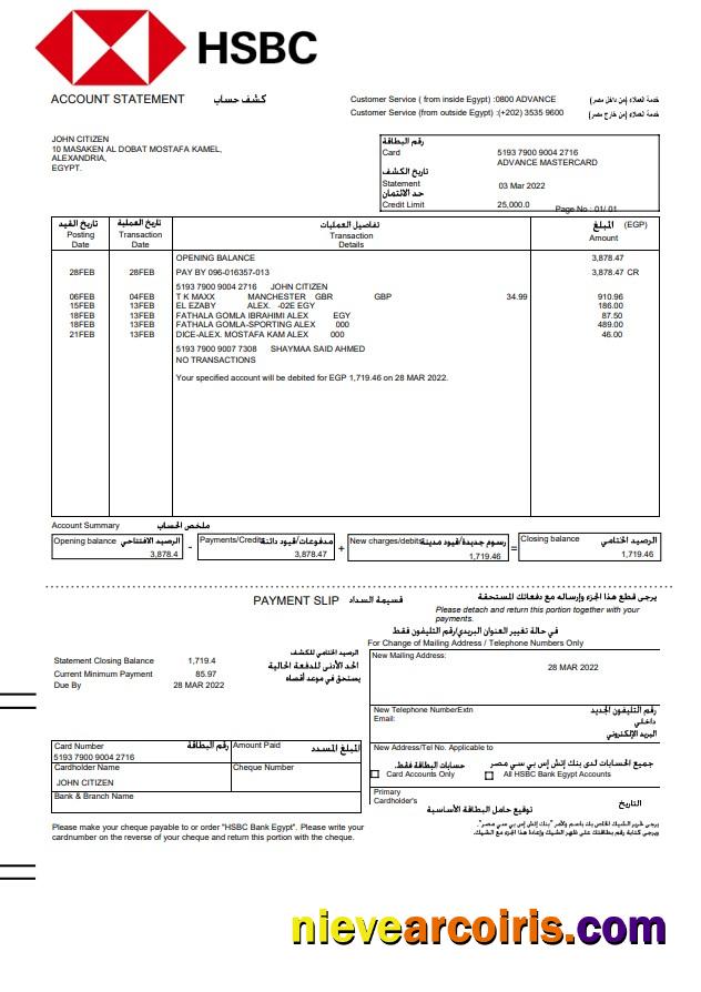 Professional Egypt HSBC Bank Statement, Word And PDF Template, Version 2