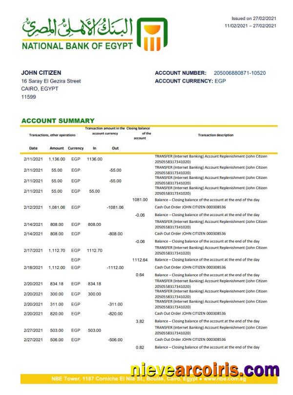 Realistic Egypt National Bank Of Egypt Bank Statement Easy To Fill Template In Excel And PDF Format