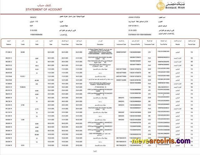 Professional Egypt Banque Misr Statement Of Account Word And PDF Template