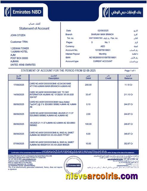 Premium Emirates NBD Statement Of Account Word And PDF Template