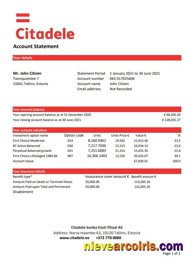 Realistic Estonia Citadele Banka Eesti Filiaal AS Bank Statement Template In Excel And PDF Format