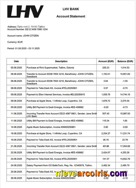 Professional Estonia LHV Bank Account Statement Word And PDF Template