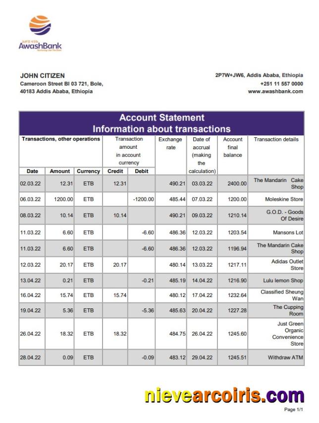 Ethiopia Awash Bank Statement Xls Sample