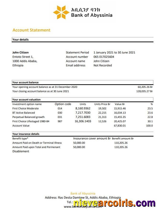 Realistic Ethiopia Bank Of Abyssinia Bank Statement Easy To Fill Template In .xls And .pdf File Format
