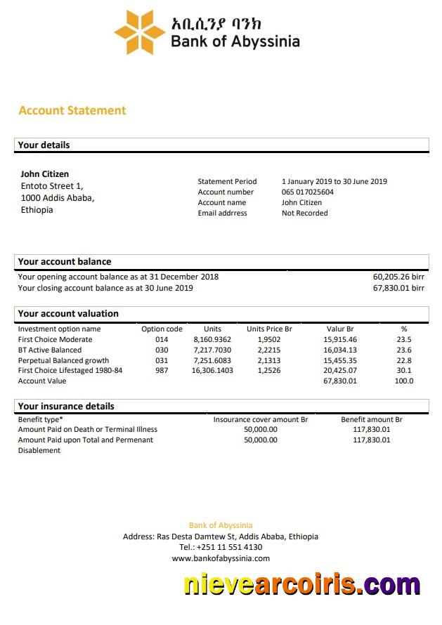 Ethiopia Bank Of Abyssinia Bank Statement Template