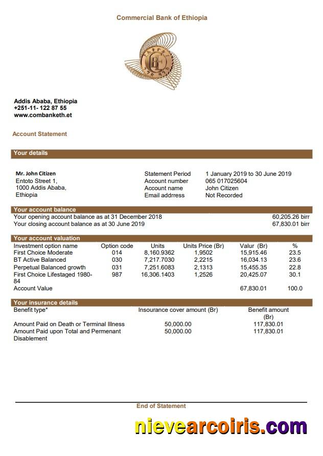 Ethiopia Commercial Bank Of Ethiopia Bank Statement Photolook