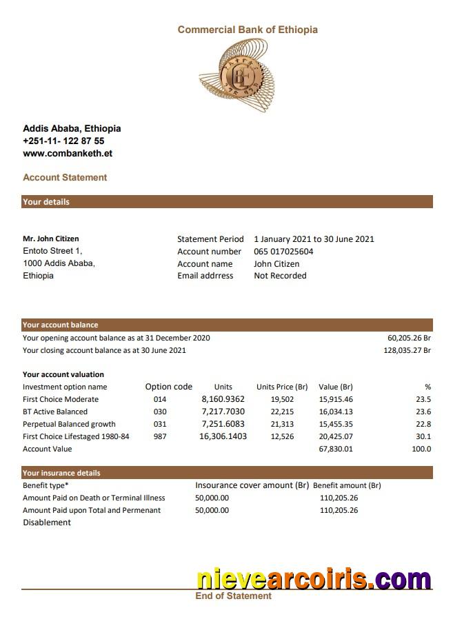 Premium Ethiopia Commercial Bank Statement Easy To Fill Template In Excel And PDF Format