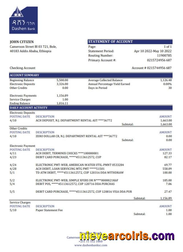 Ethiopia Dashen Bank Statement Xls Template