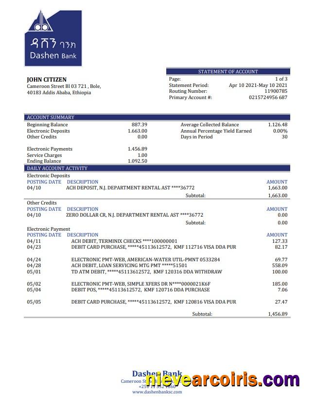 Ethiopia Dashen Bank Statement Template