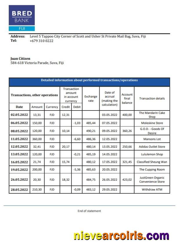 Fiji Bred Bank Statment Preview