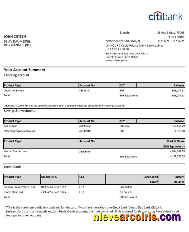 Premium France Citibank Bank Statement Template In .xls And .pdf File Format