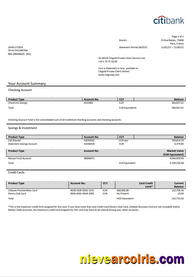 France Citibank Bank Statement Sample