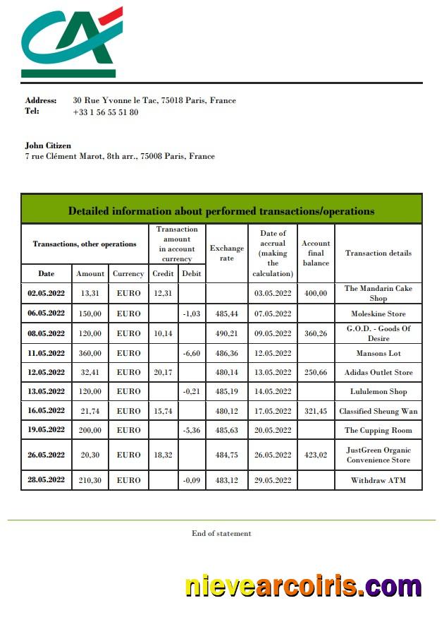 France Credite Agricole Bank Statement Template