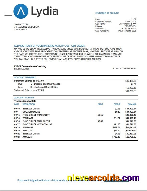 Editable France Lydia Noir Bank Statement Template, Word And PDF Format