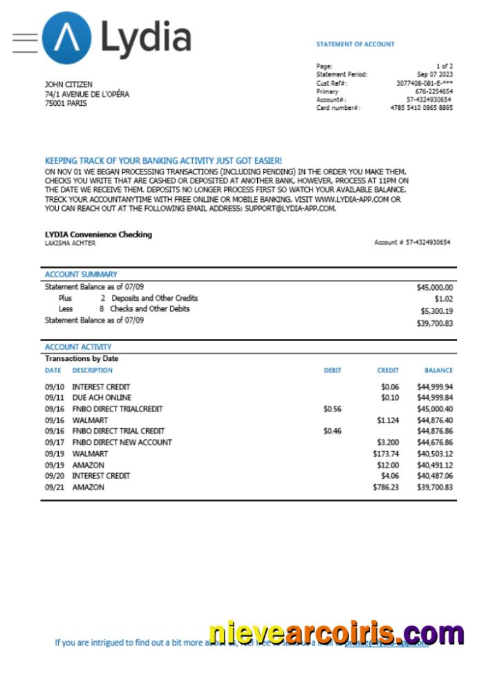Premium France Lydia Noir Bank Card Statement Word And PDF Template Scr