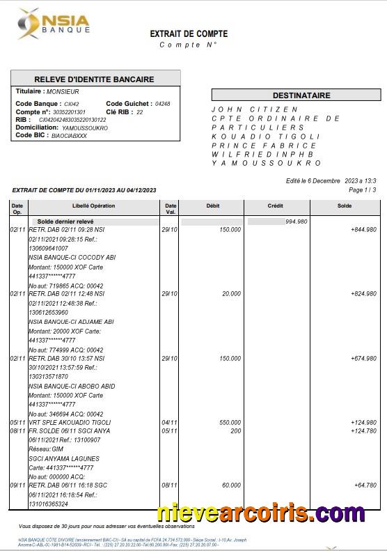 Professional France NSIA Banque Statement Word And PDF Template, 4 Pages