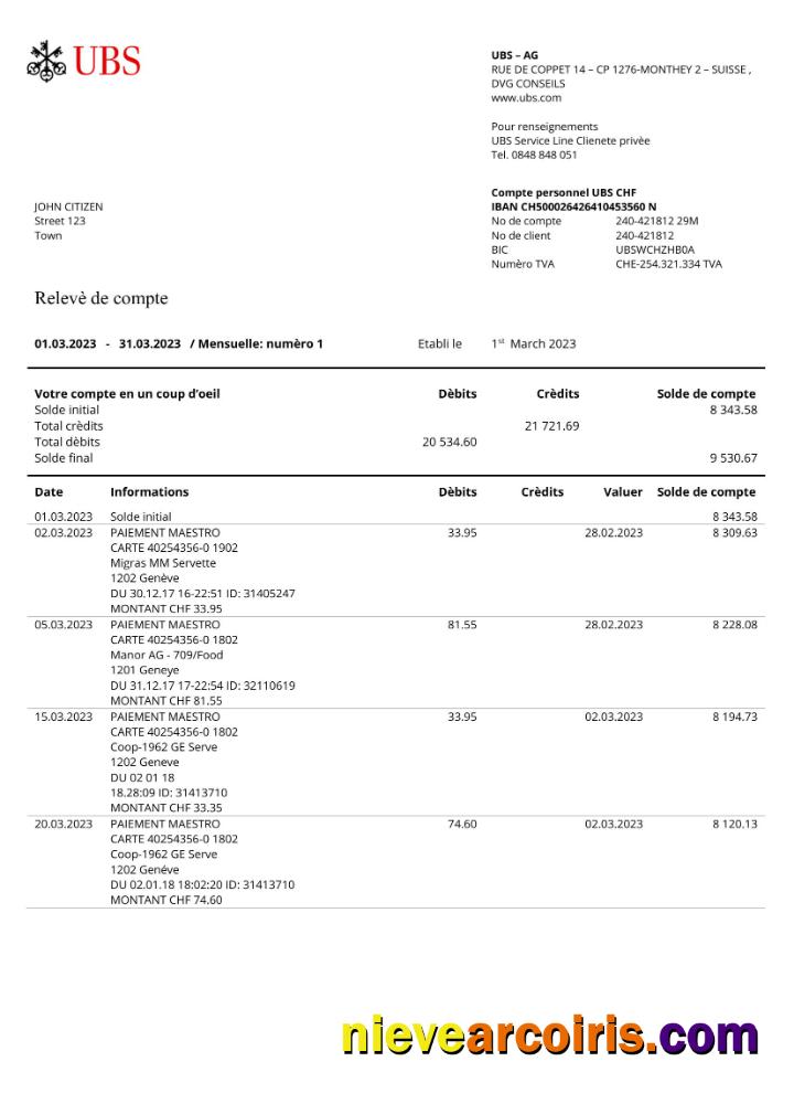 Editable France UBS Bank Statement Word And PDF Template