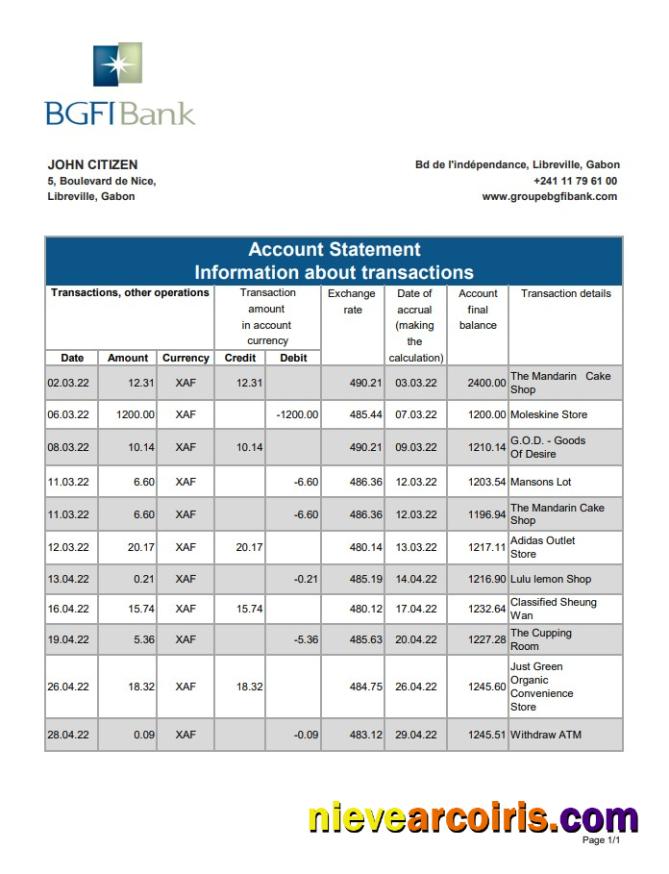 Gabon BGFI Bank Statement Preview