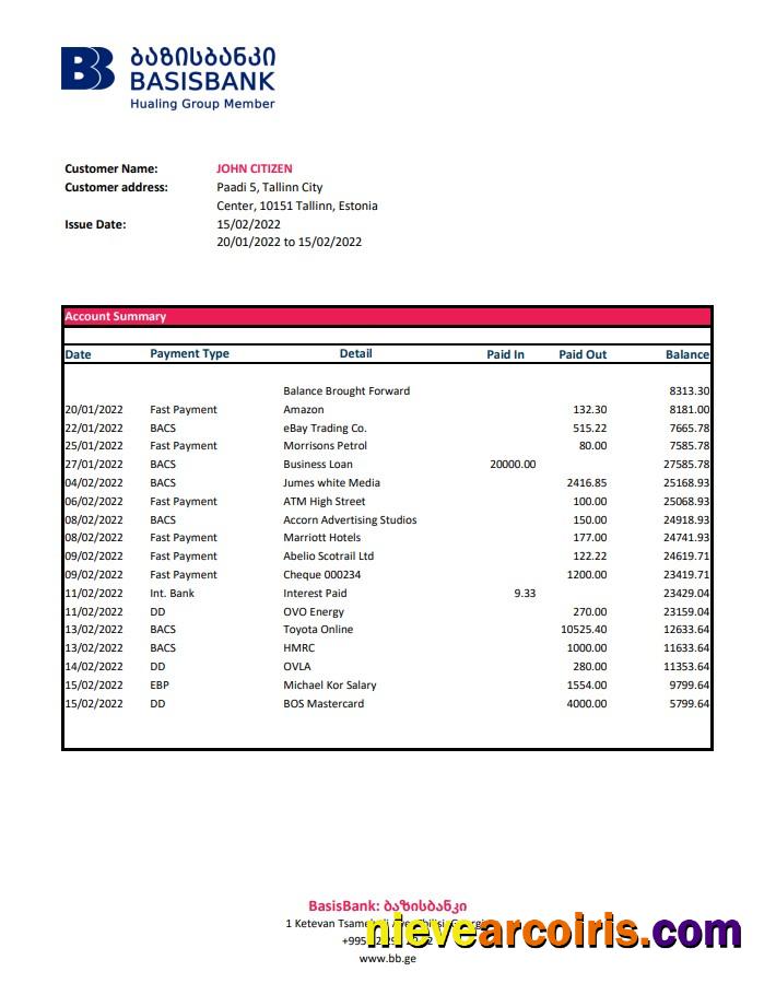 Georgia Basis Bank Statement Xls Template