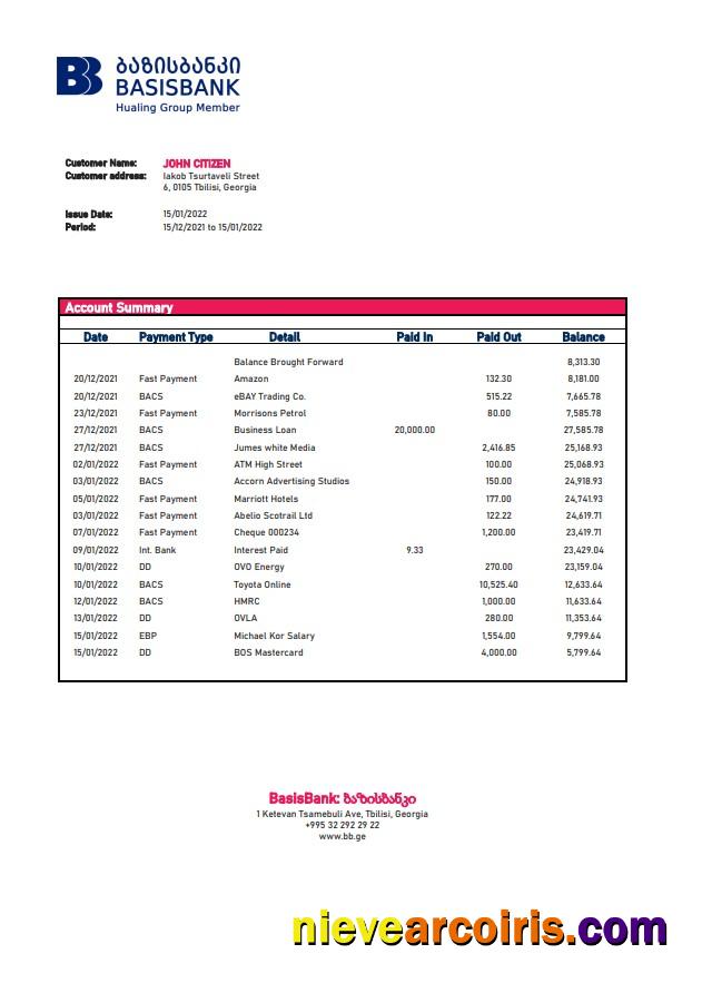 Georgia Basis Bank Statement Photolook