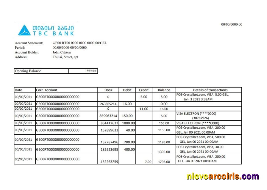 Premium Georgia TBC Bank Statement Easy To Fill Template In Excel And PDF Format
