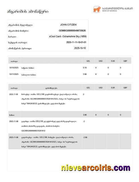 Editable Georgia Bank Of Georgia Account Statement Word And PDF Template