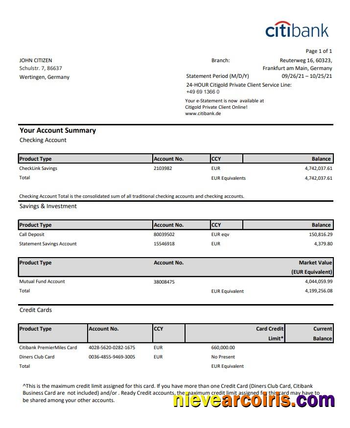 Editable Germany Citibank Bank Account Statement Template In Excel And PDF Format