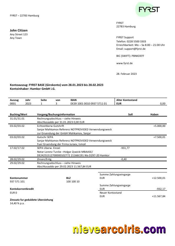 Editable Germany Fyrst Bank Statement Word And PDF Template