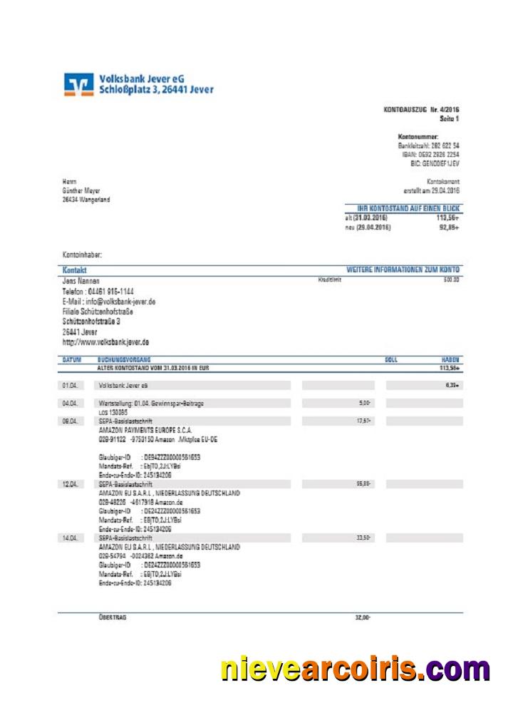 Realistic Germany Sparkasse Miltenberg Obernburg Bank Statement Template, Word And PDF Format