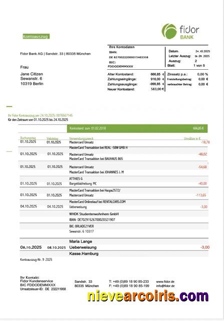 Professional Germany Fidor Bank Statement Word And PDF Template