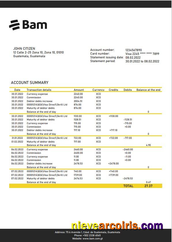 Premium Guatemala Agromercantil Bank Statement Template, Word And PDF Format
