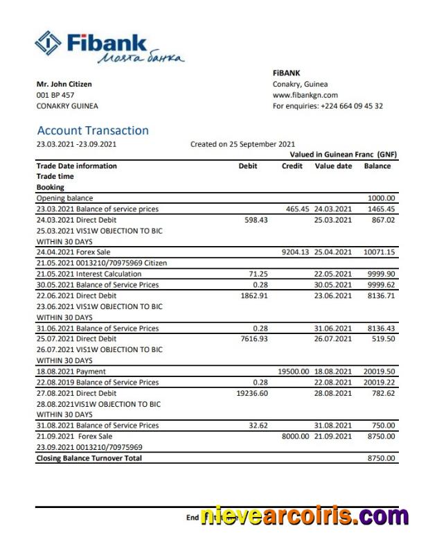 Editable Guinea Fibank Bank Statement Template In .xls And .pdf File Format
